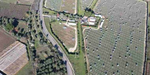 campo-fotovoltaico-completamente-smantellato-luchetta-10