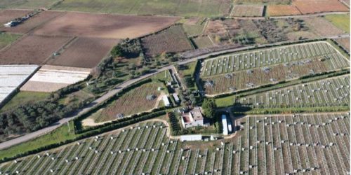 disinstallazione-a-terra-smaltimento-impianti-fotovoltaici-luchetta-rottami
