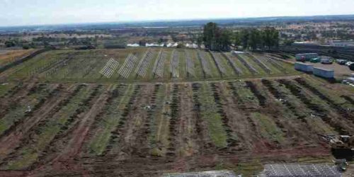 escavatore-in-azione-su-impianto-fotovoltaico-a-terra-25